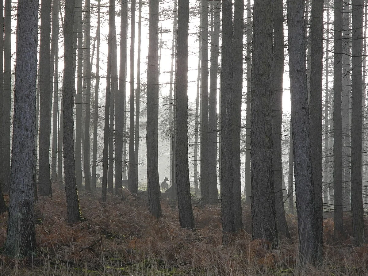 Warstein Hoehle A1 and A3 Loop