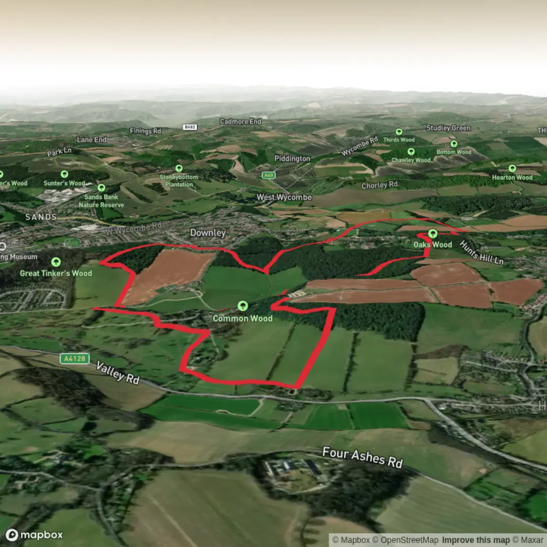 An image depicting the trail Hughenden Manor Estate walk and its surrounding area.