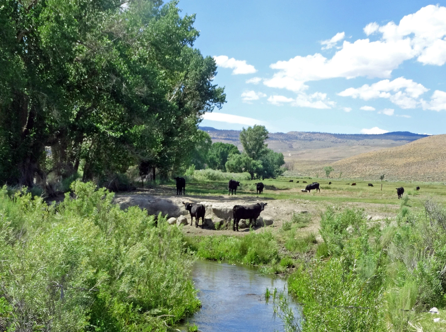 An image depicting the trail Lower Rock Creek Road to Swall Meadows Road and its surrounding area.