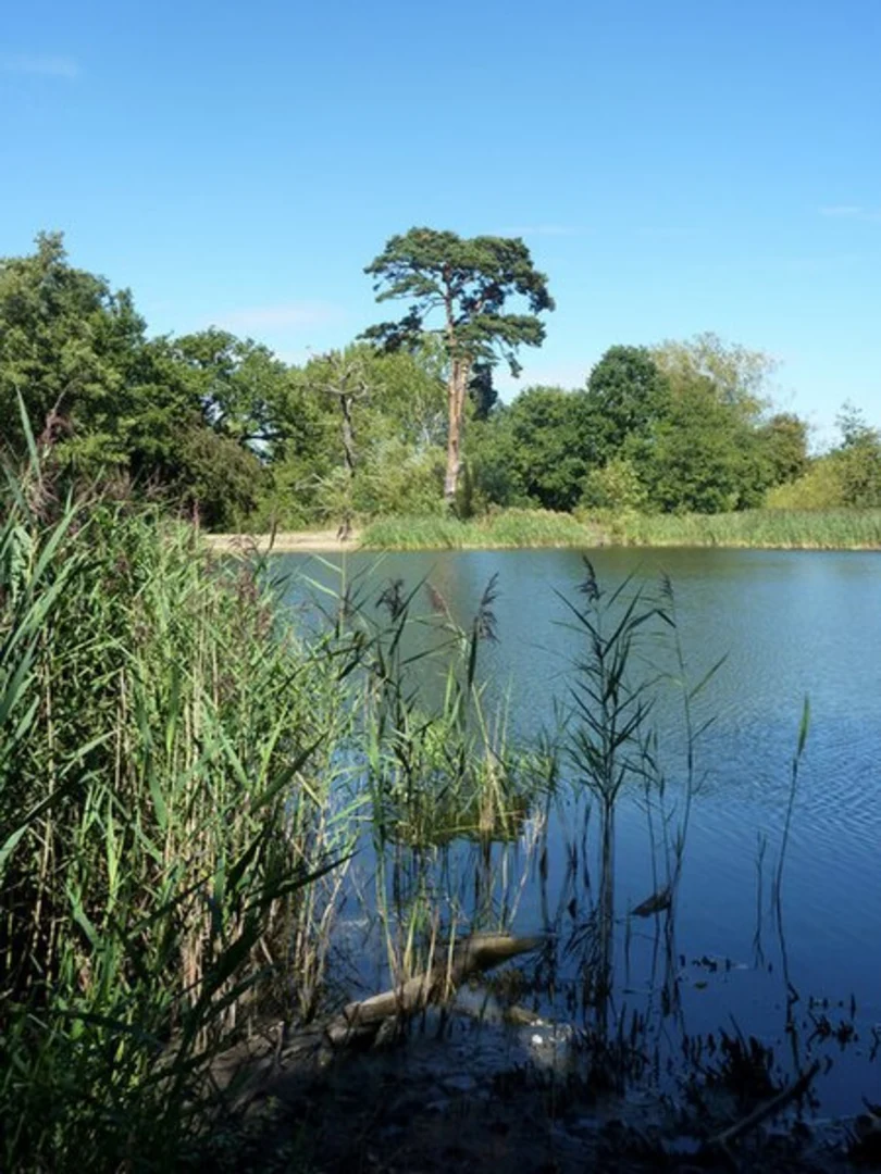 An image depicting the trail Chantry and Orford Loop and its surrounding area.