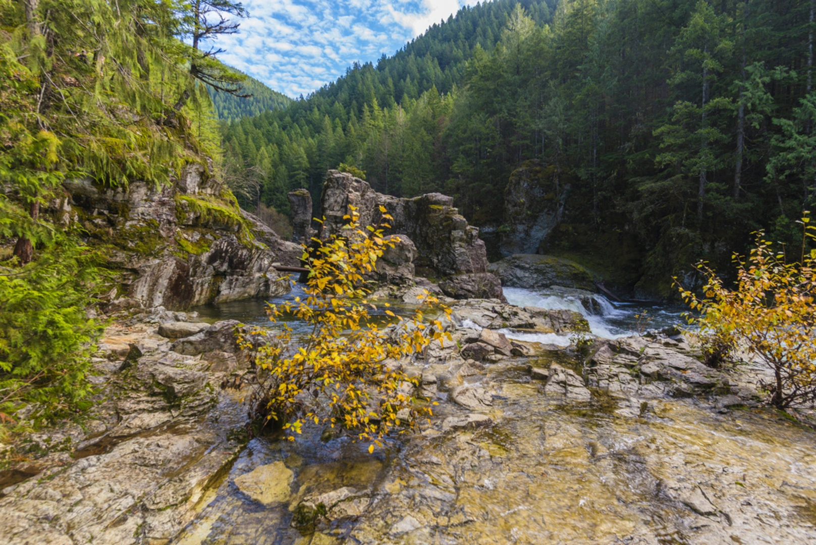 An image depicting the trail Kopetski - Opal Creek Trail and its surrounding area.
