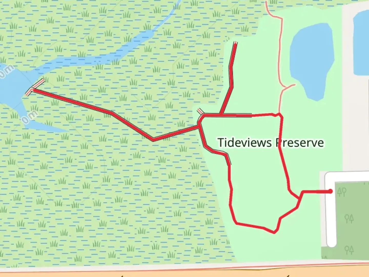An image depicting the trail Tideviews Preserve Loop and its surrounding area.