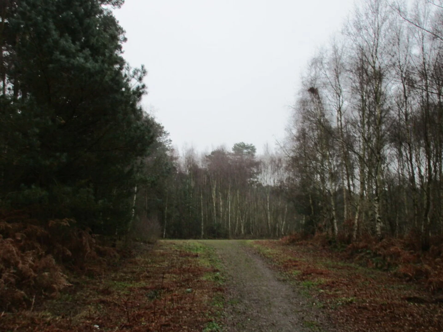 An image depicting the trail Laughton Woods and its surrounding area.