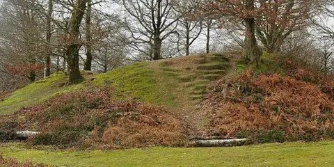 An image depicting the trail Hembury Woods and its surrounding area.