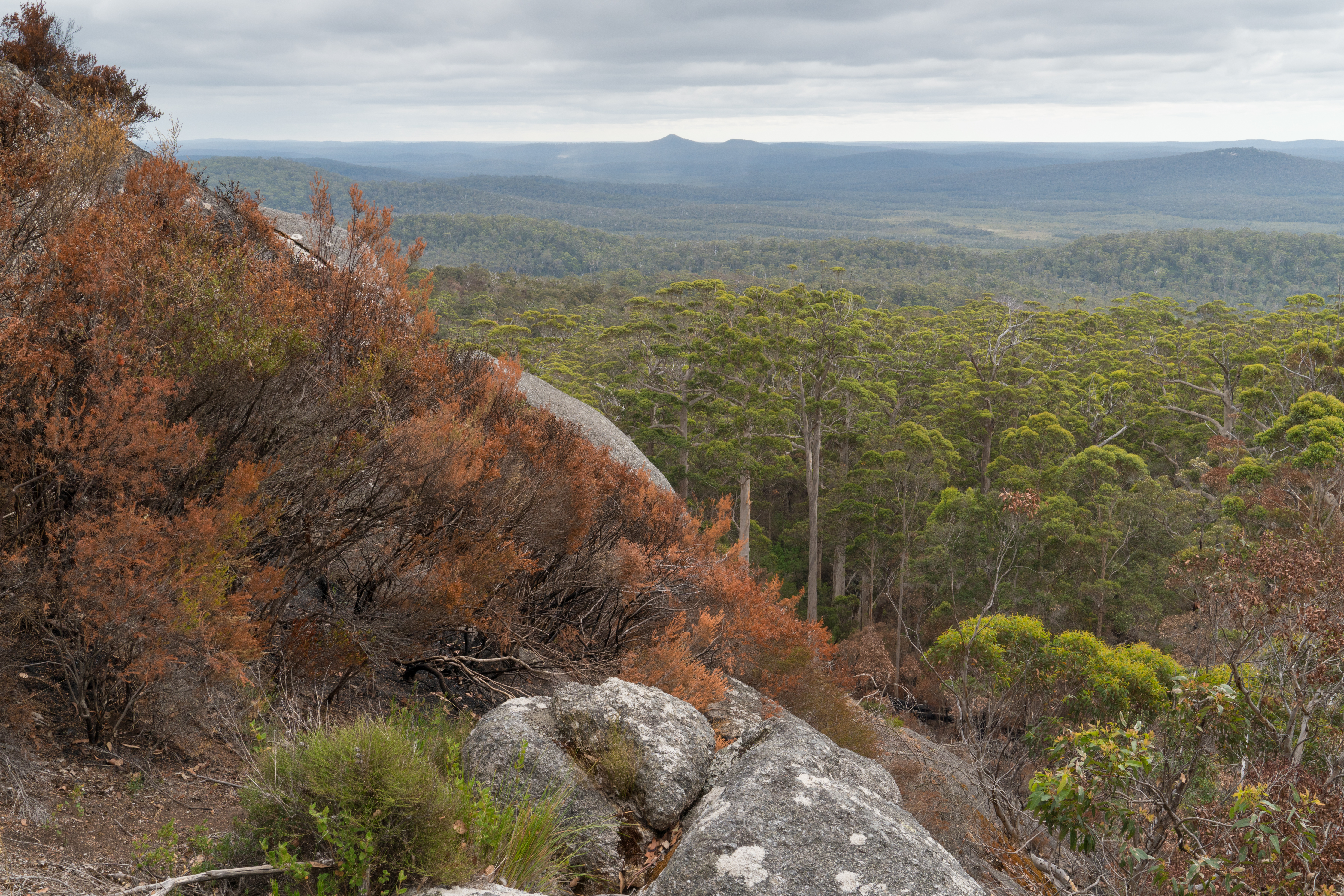 An image depicting the trail Mount Frankland National Park and its surrounding area.