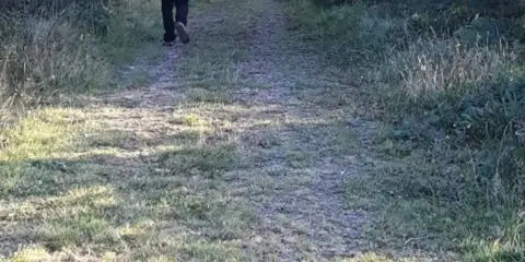 An image depicting the trail Slieveboy Loop and its surrounding area.