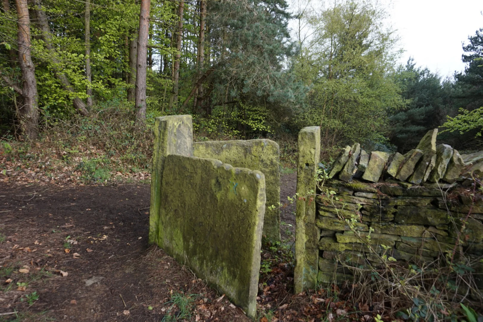 An image depicting the trail Huddersfield Loop and its surrounding area.