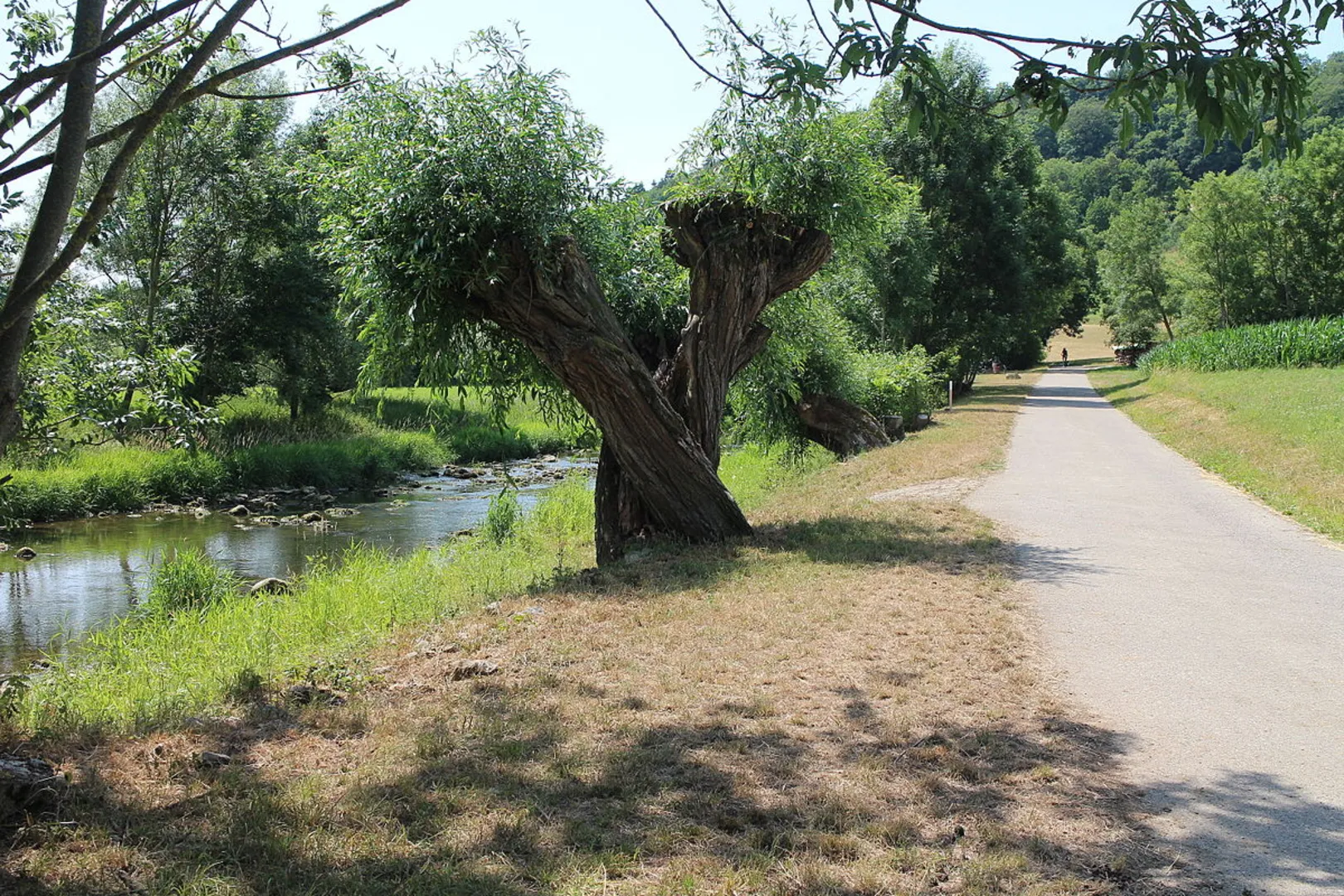 An image depicting the trail Liebliches Taubertal 24 Vorbach and its surrounding area.