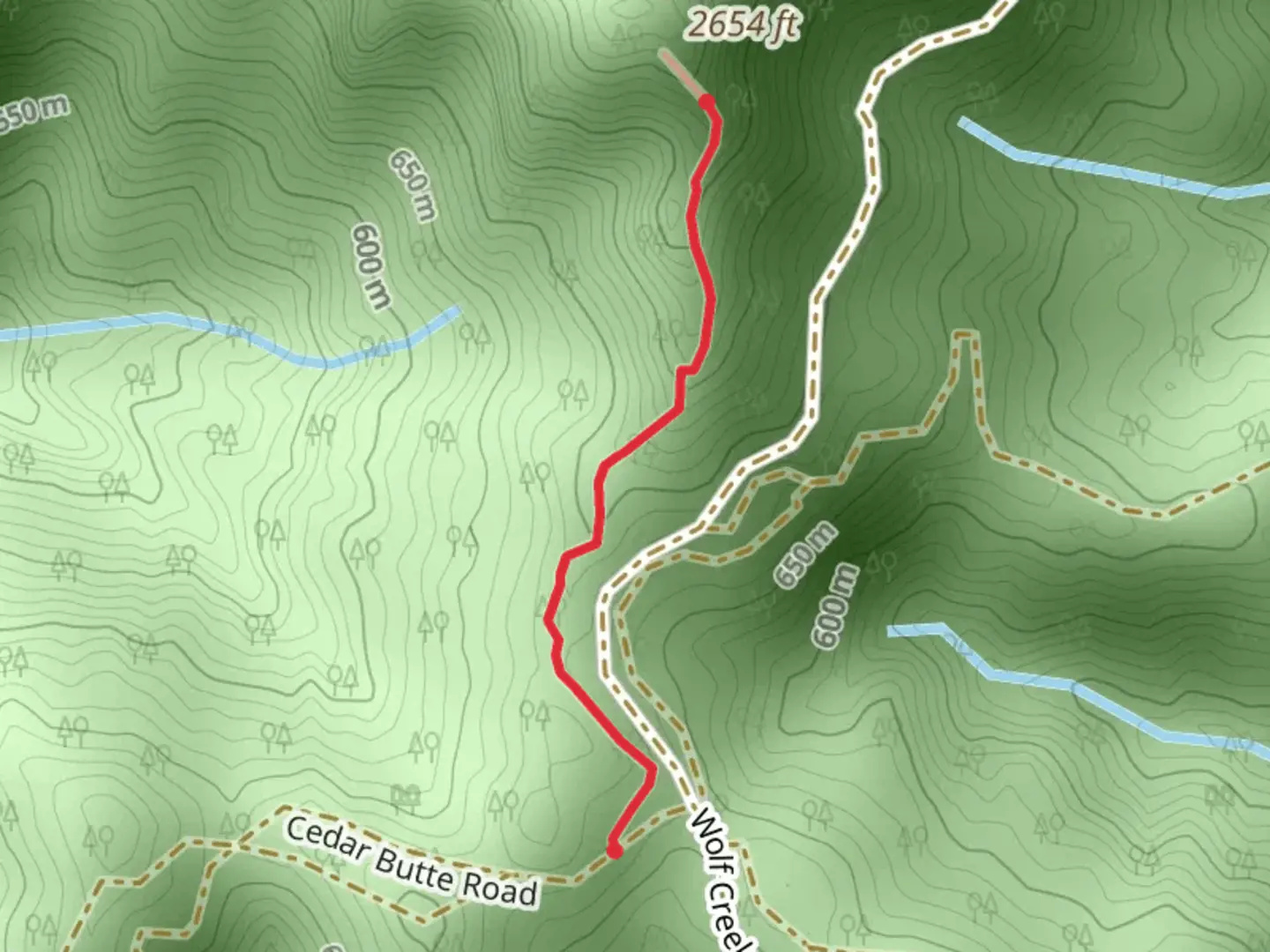 An image depicting the trail Cedar Butte Trail and its surrounding area.