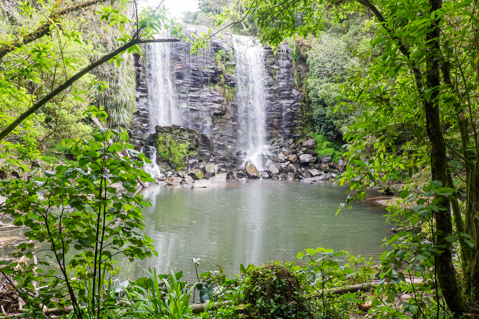 An image depicting the trail Te Wairere Waterfall Walk and its surrounding area.