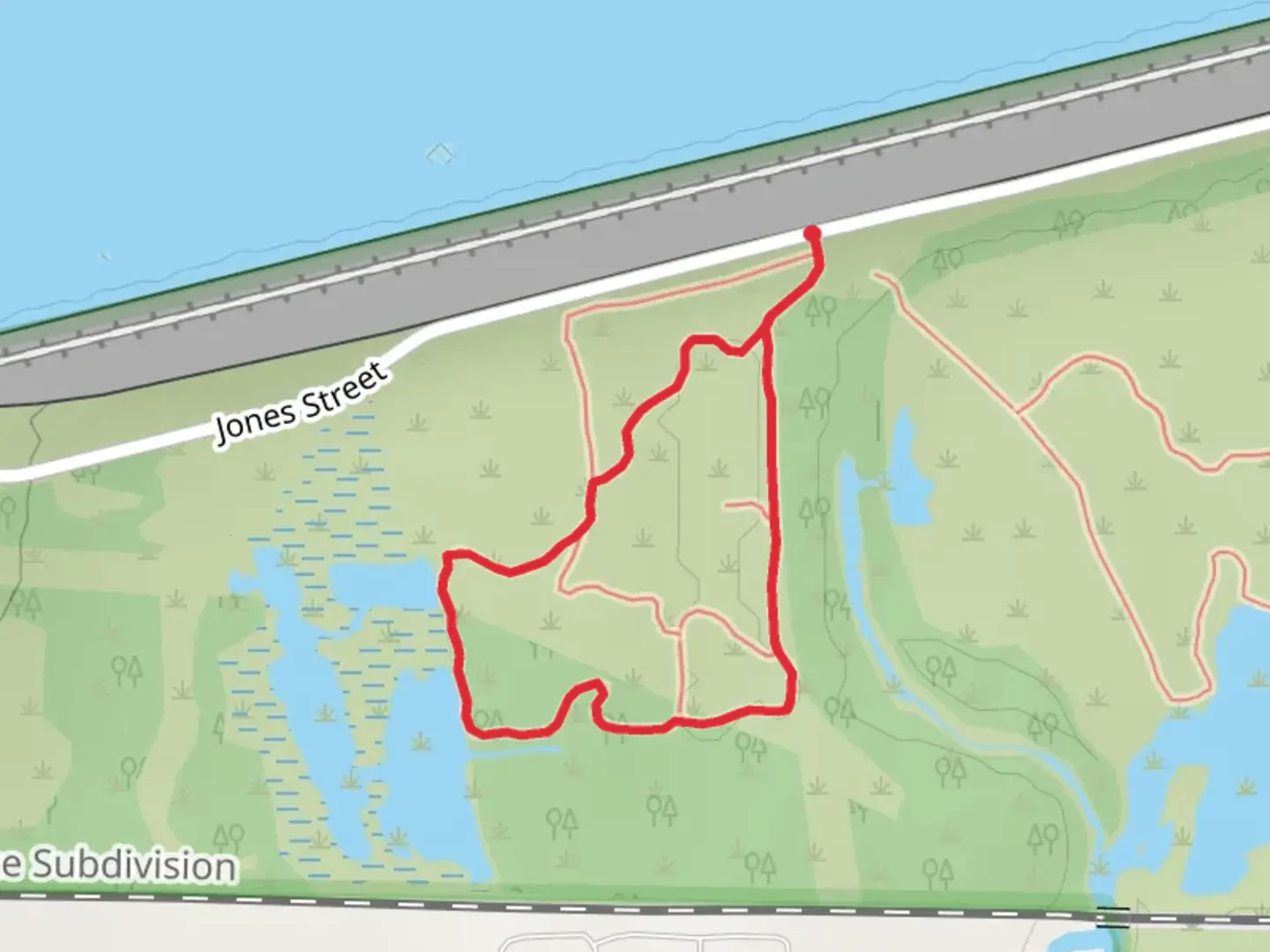 An image depicting the trail Jones Street Loop - South and its surrounding area.