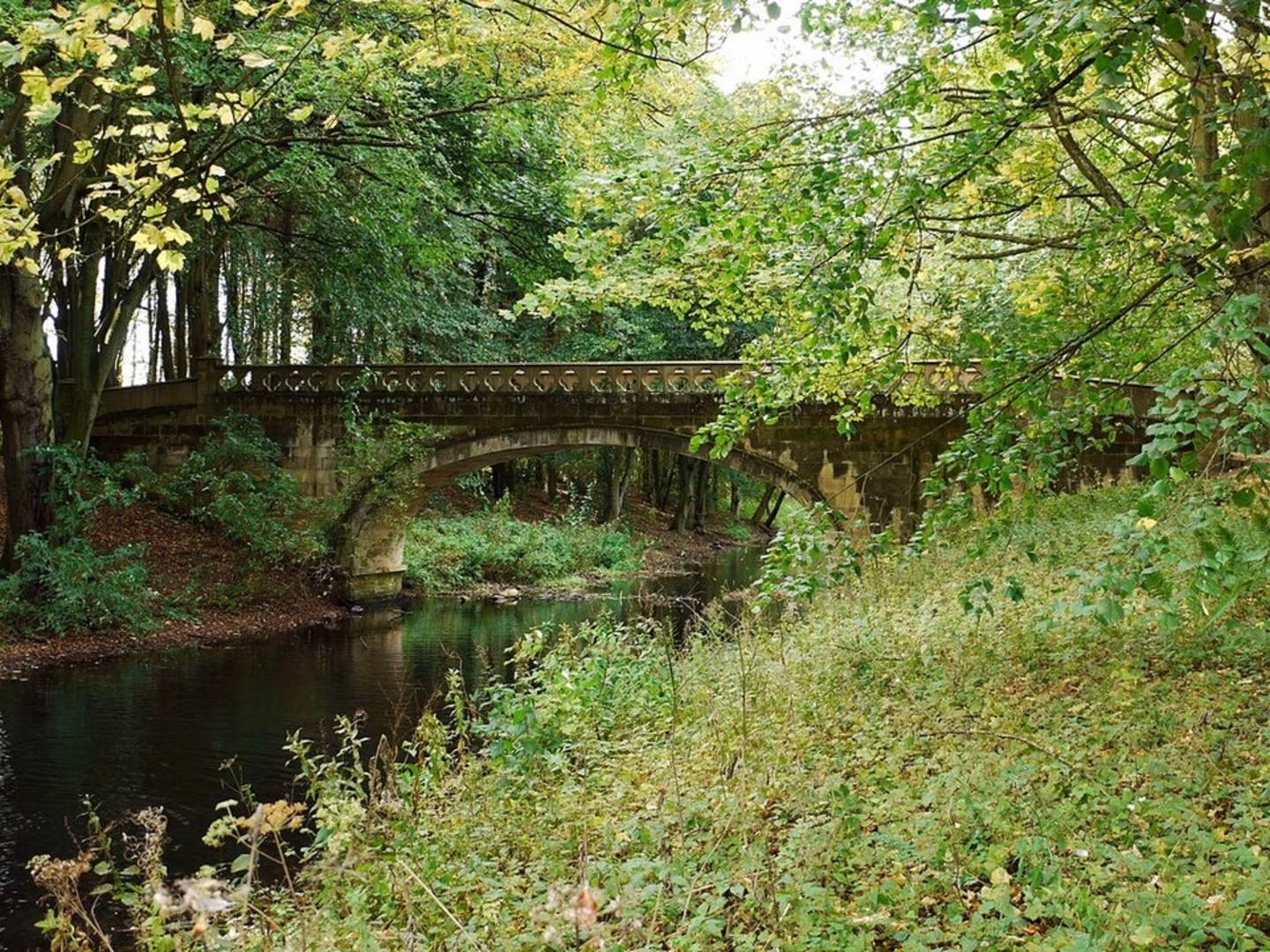 An image depicting the trail Sedgefield Walk and its surrounding area.