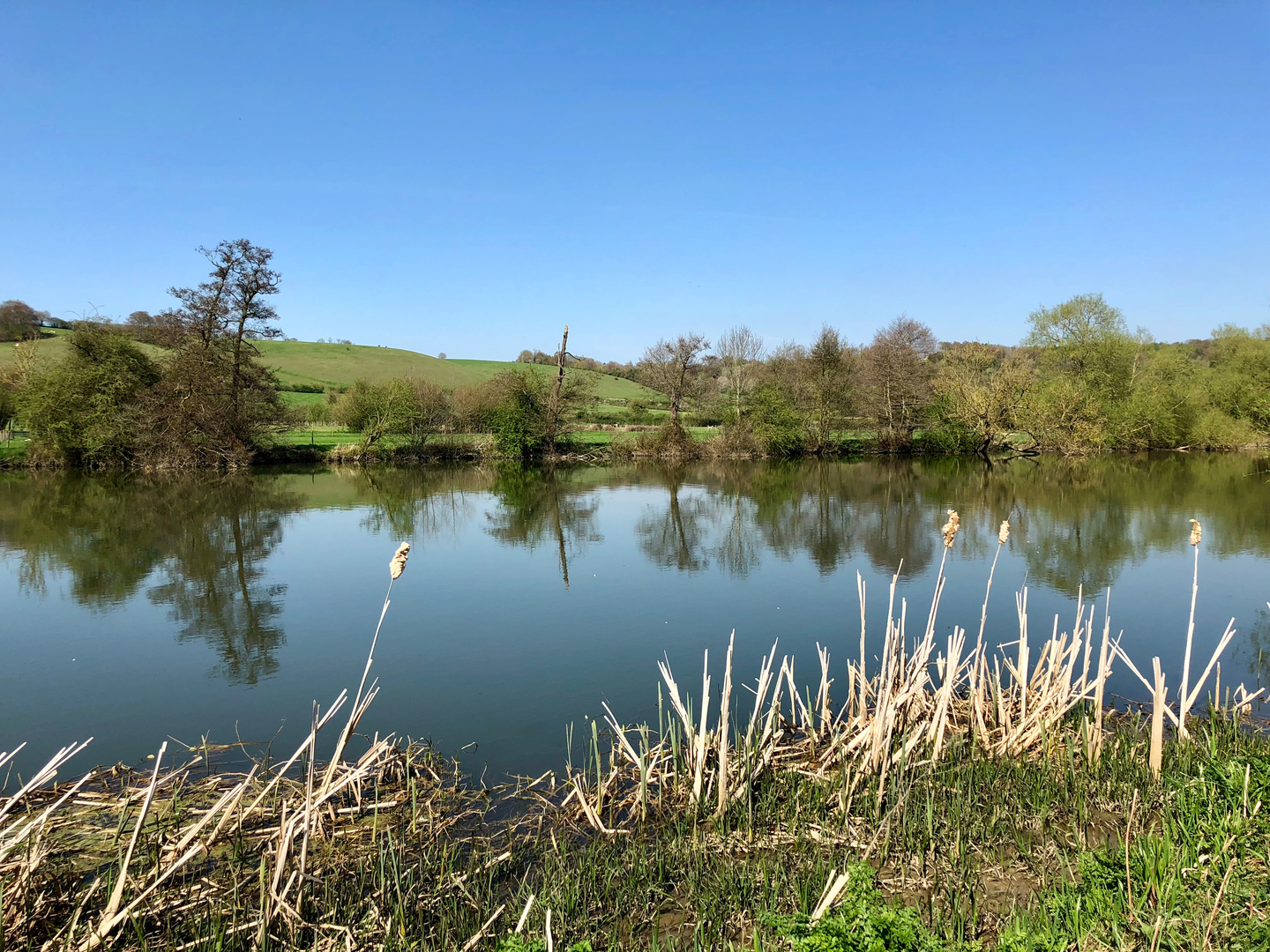 An image depicting the trail Chairman's Walk and its surrounding area.