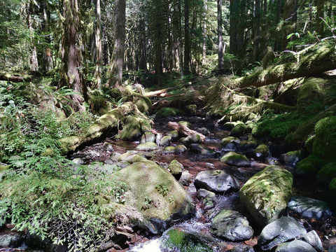 An image depicting the trail Salmon Butte Trail and its surrounding area.