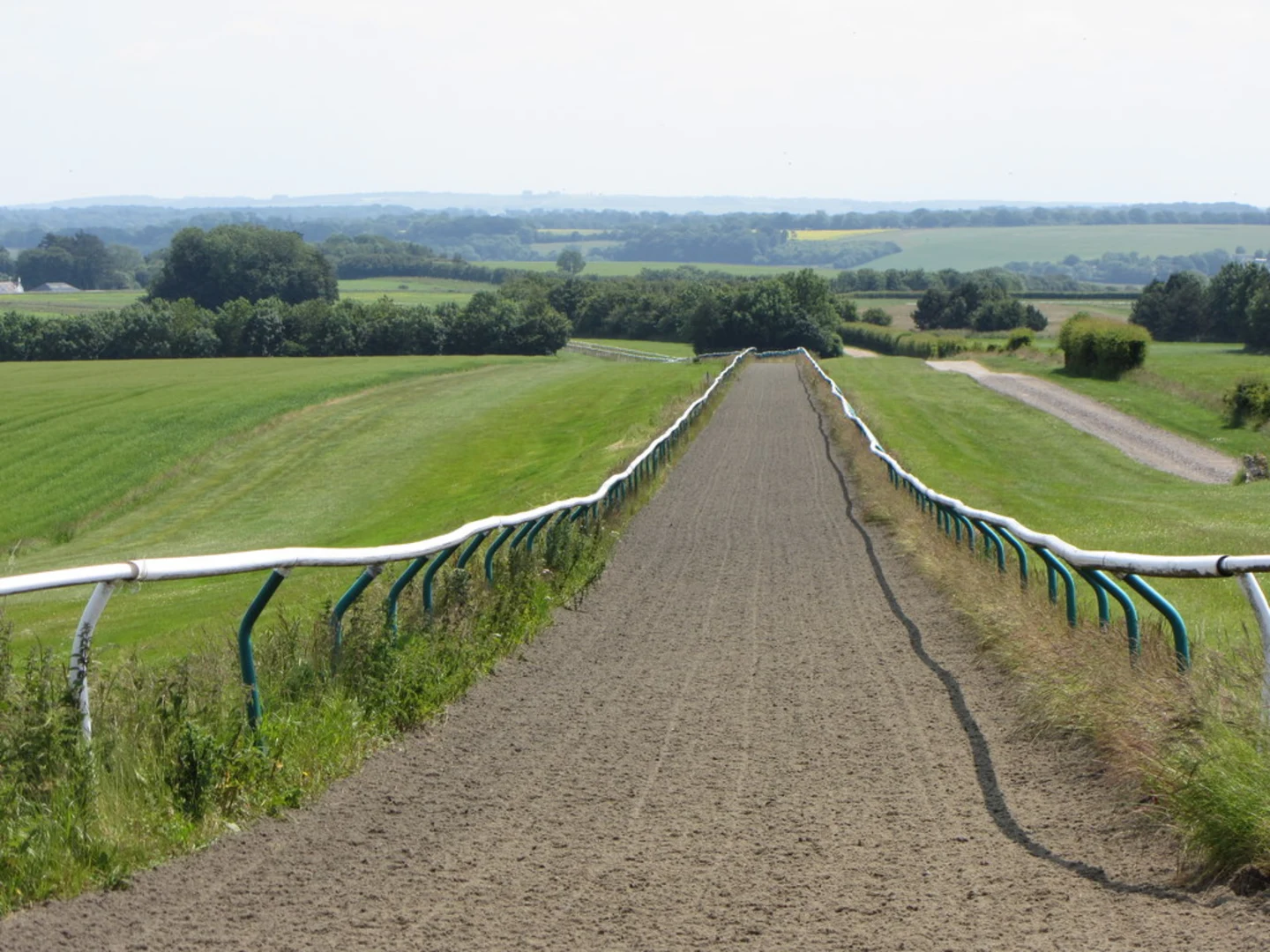 An image depicting the trail Fyfield Down National Nature Reserve Loop and its surrounding area.