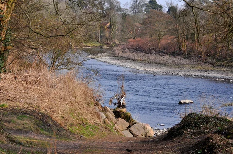 Forest Farm Country Park