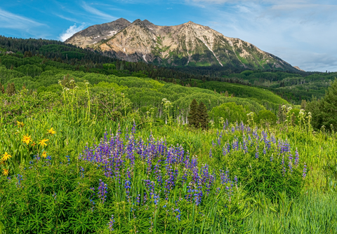 An image depicting the trail Beckwith Bench via Beckwith Pass Trail and its surrounding area.