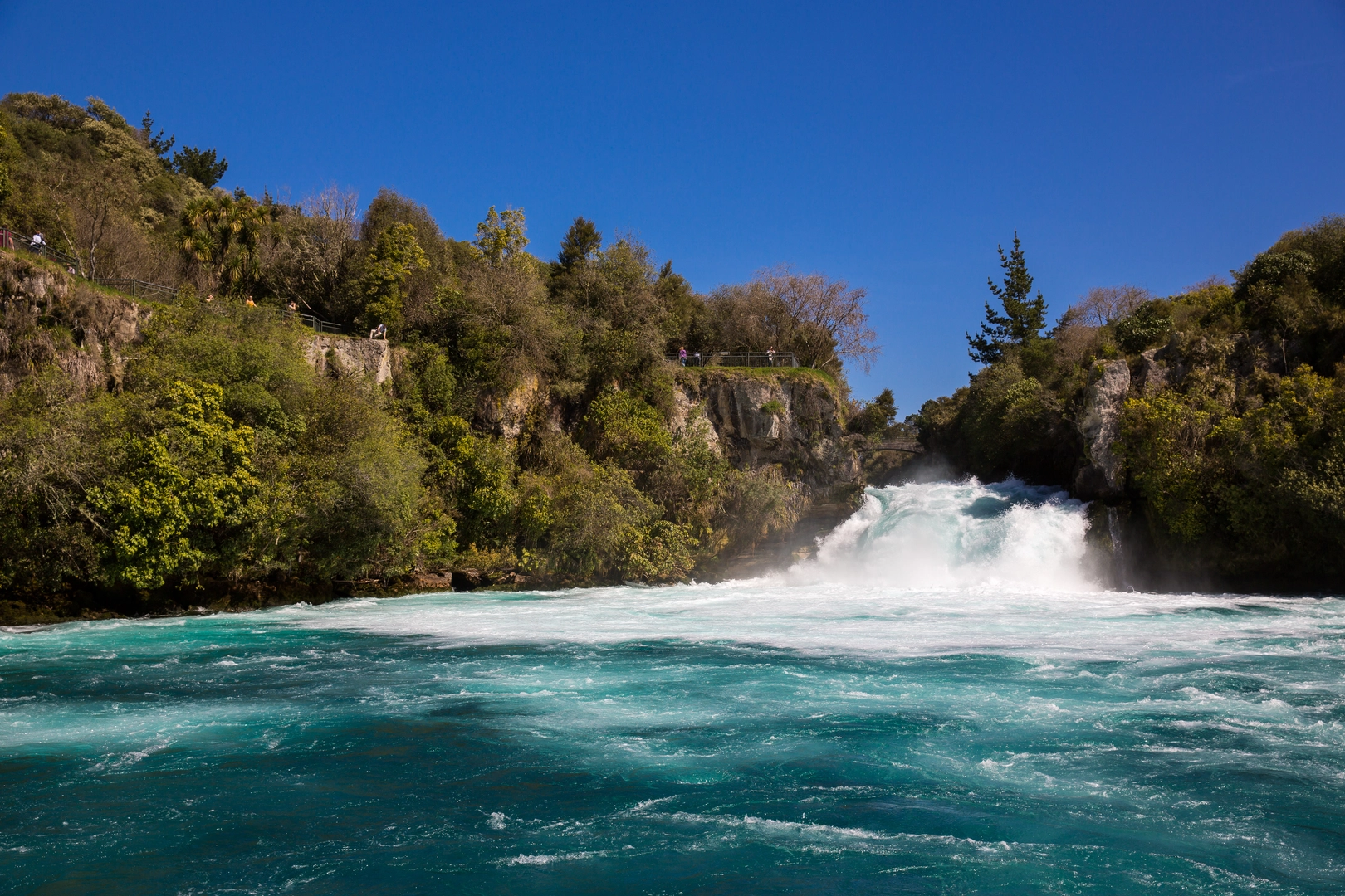 An image depicting the trail Redwoods to Huka Falls Trail and its surrounding area.