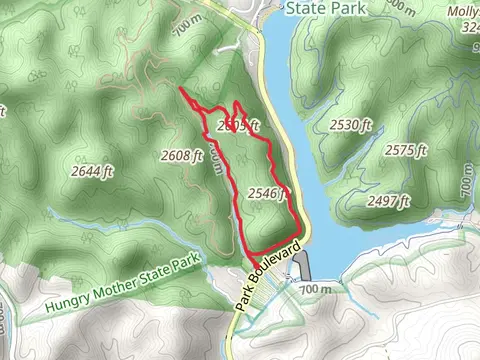 Clyburn Ridge Loop Trail
