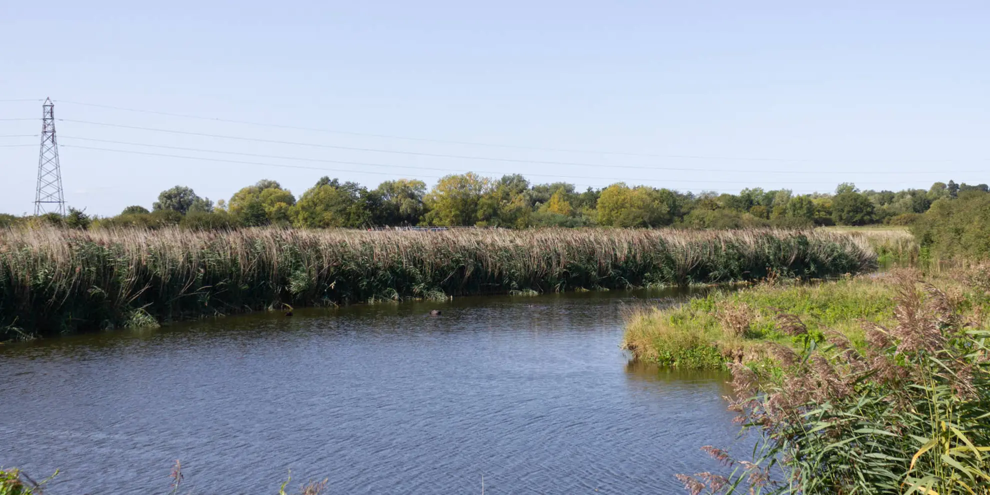 An image depicting the trail Newmarket to Cattawade via Stour Valley Path and its surrounding area.