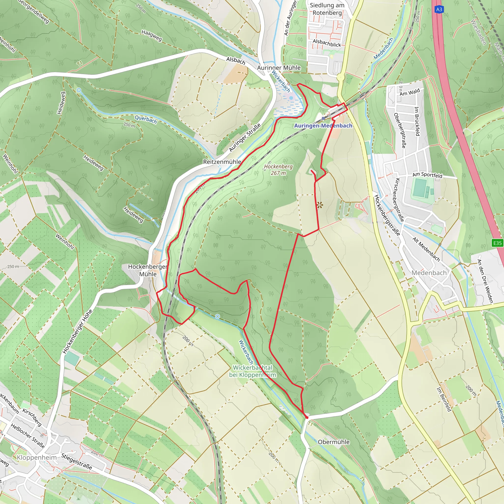 Wickerbach and Auringen Medenbach Loop mobile static map