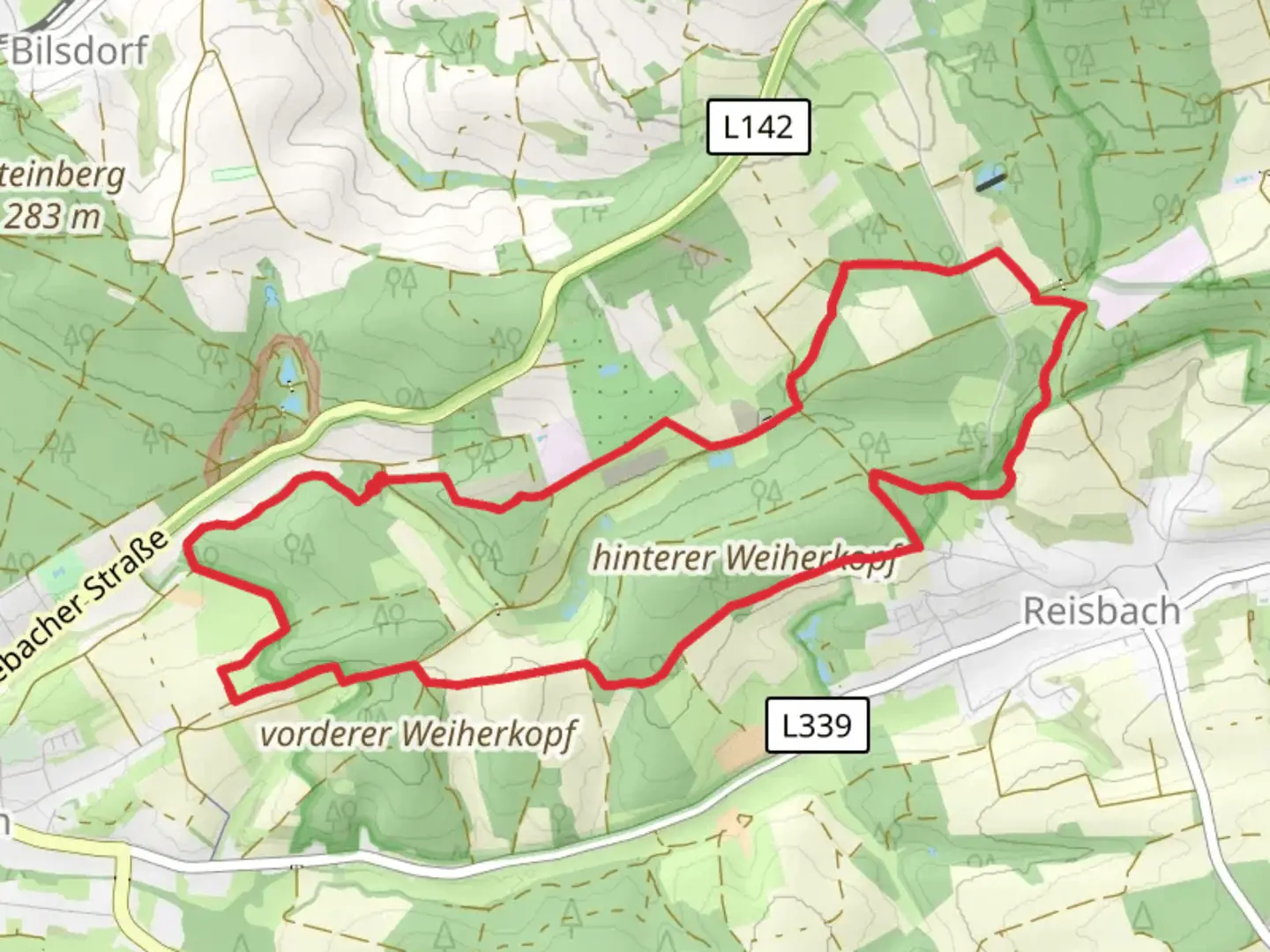 An image depicting the trail Mühlenbach-Schlucht Loop and its surrounding area.