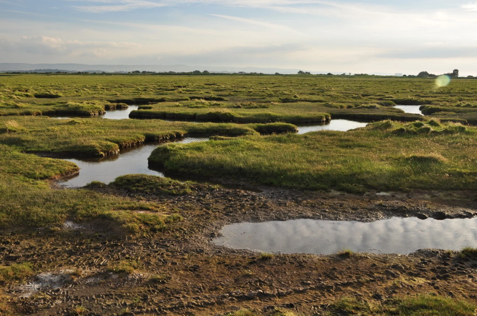 An image depicting the trail Bridgwater Bay National Nature Reserve and its surrounding area.