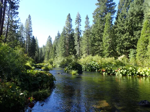 An image depicting the trail Mccloud River via Pacific Crest Trail and its surrounding area.