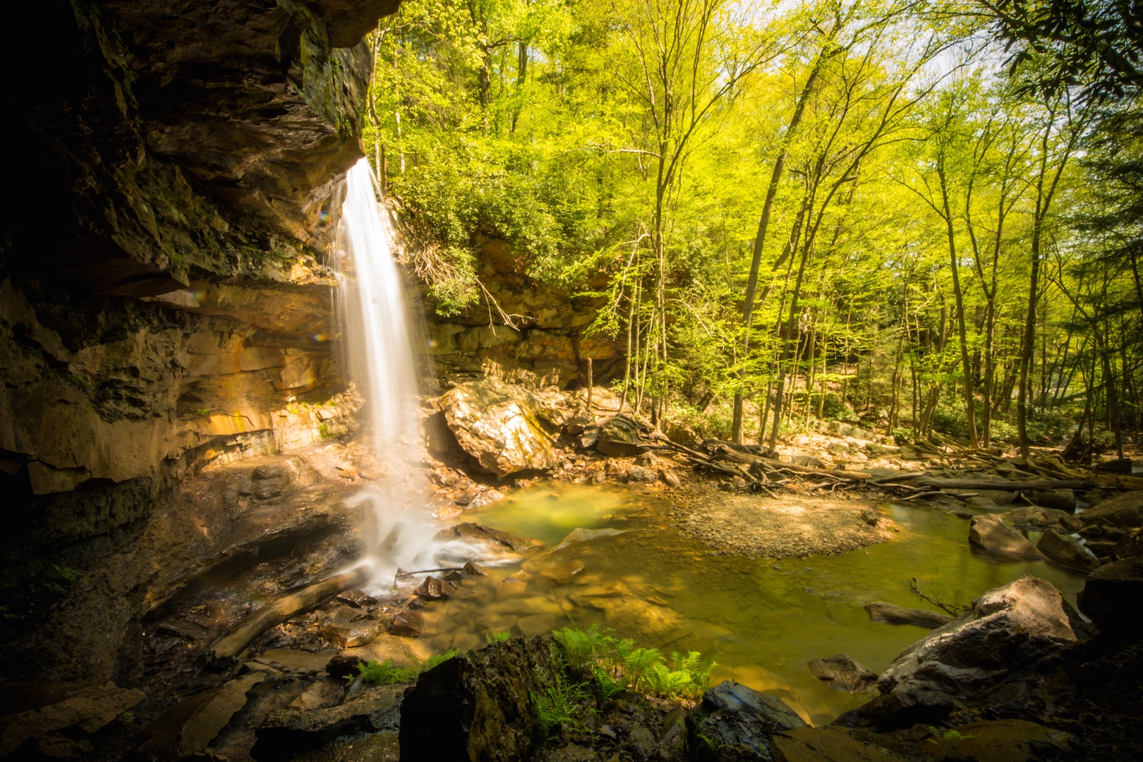 An image depicting the trail Cucumber Run and Youghiogheny River and its surrounding area.