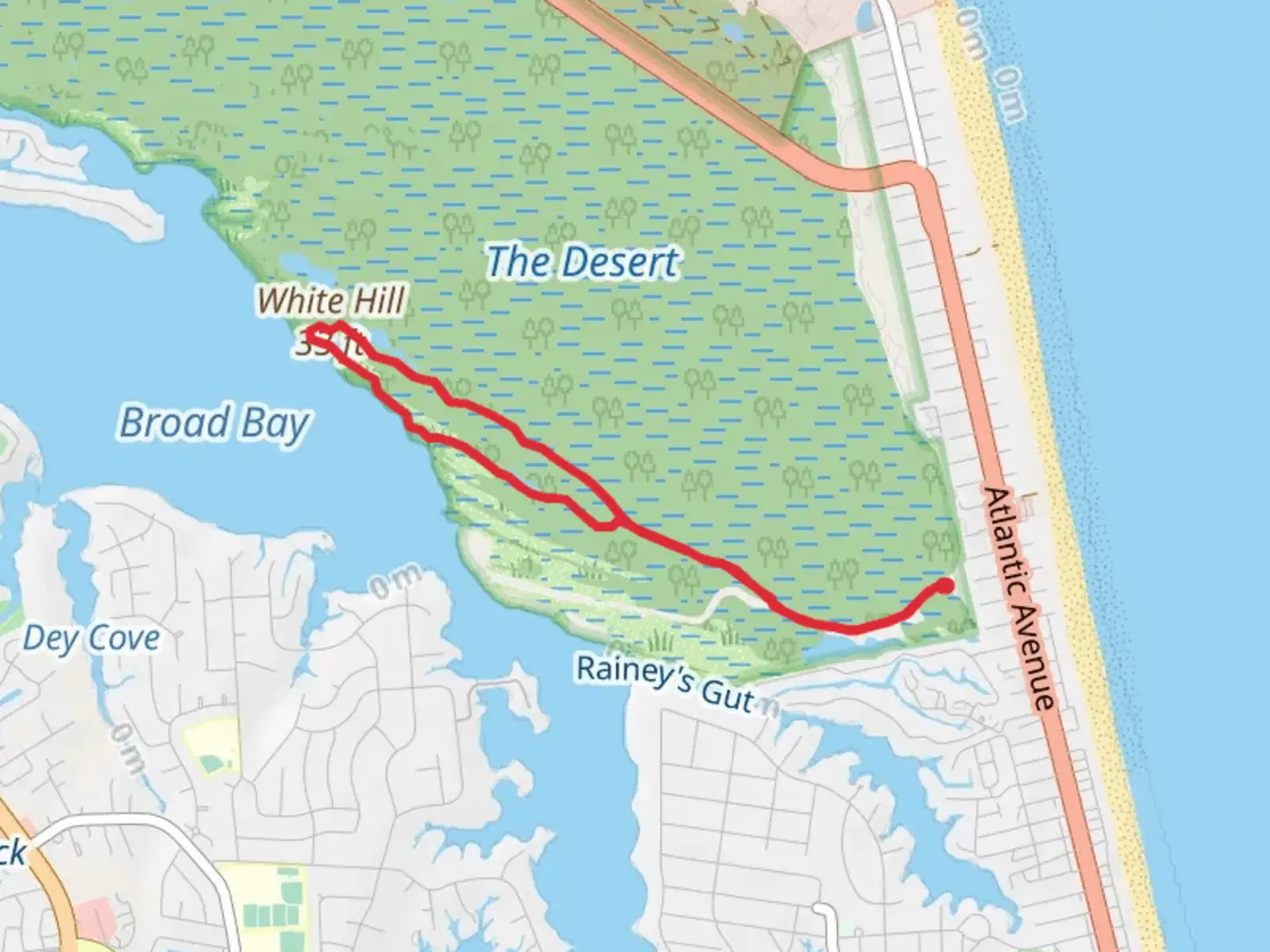 An image depicting the trail Osprey, White Hill and Long Creek Loop Trail and its surrounding area.