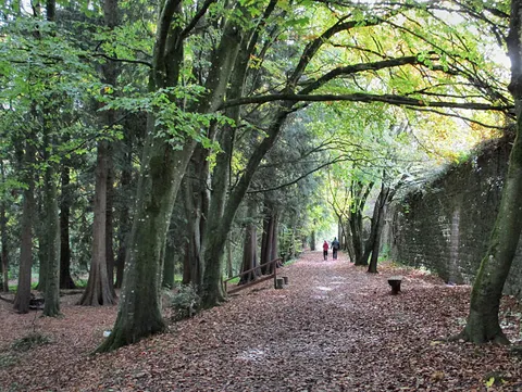 Jenkinstown Wood - Jenkinstown Wood Loop