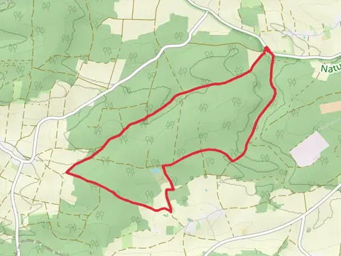 Steinertal Loop