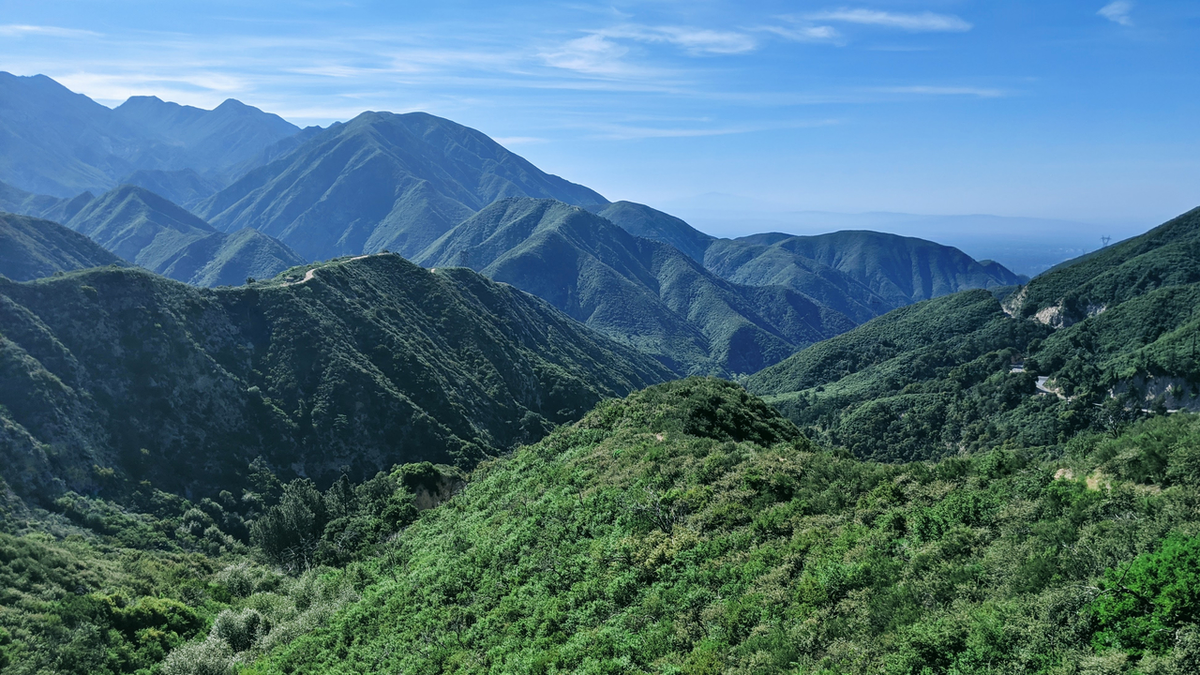 Hoyt Mountain via Grizzly Flats Trail