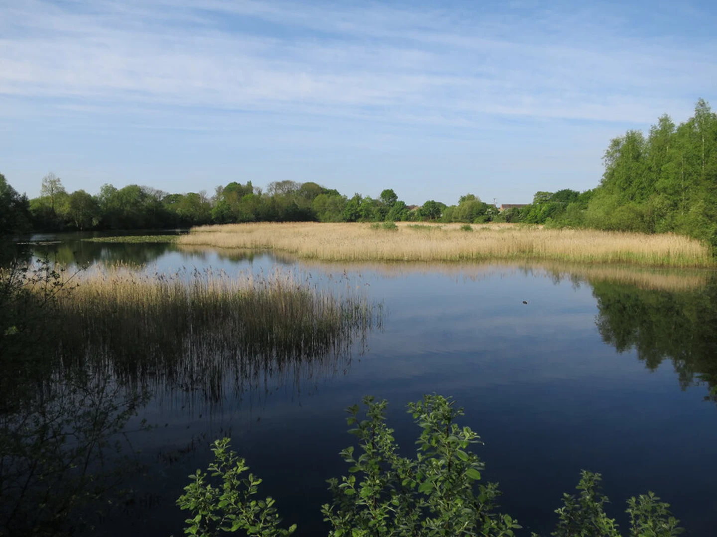 An image depicting the trail St Neots Loop Walk and its surrounding area.