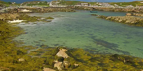 An image depicting the trail Bealach Siuloidi Leitir Meallain - Red Trail Ard Pier and its surrounding area.