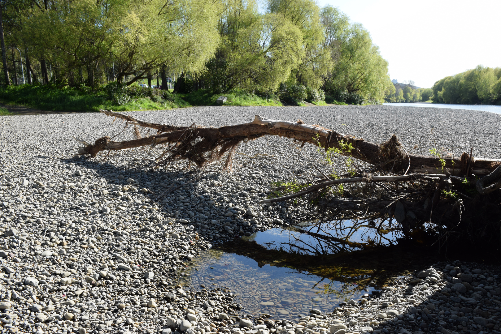 An image depicting the trail Hutt River Trail - Belmont Domain to Melling Bridge Loop and its surrounding area.