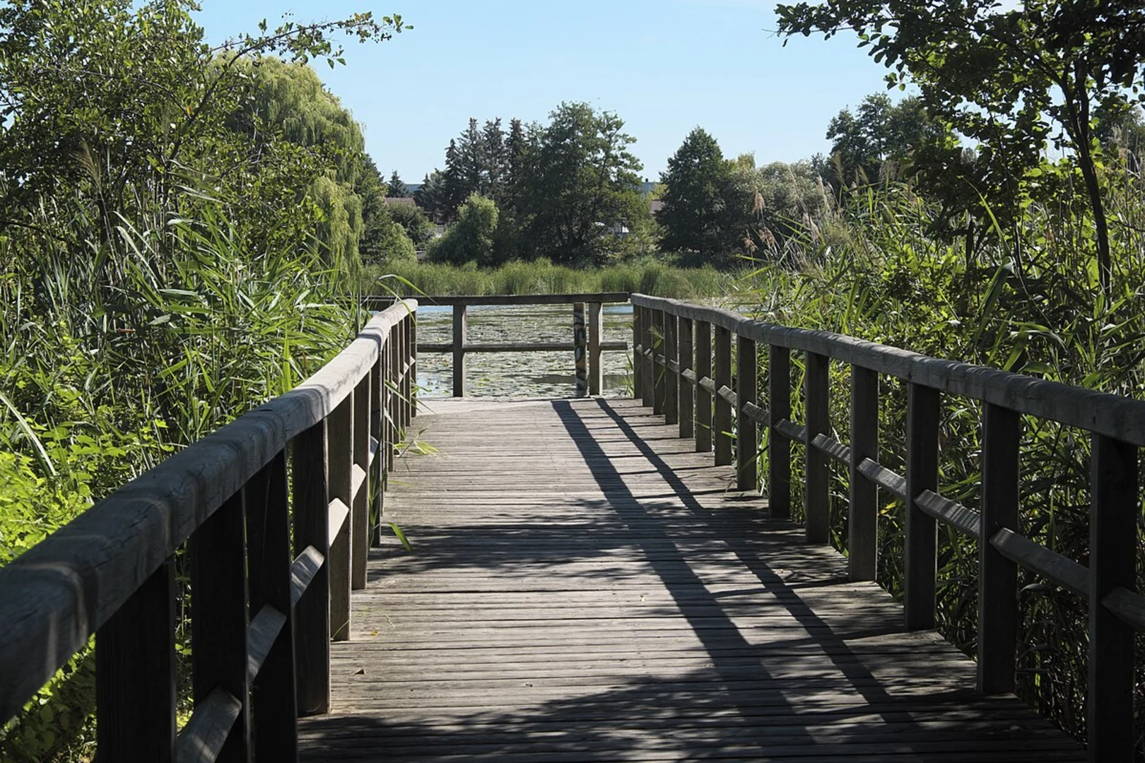 An image depicting the trail Klostersee Loop via Rundwanderweg Klostersee Lehnin - Nahmitz and its surrounding area.