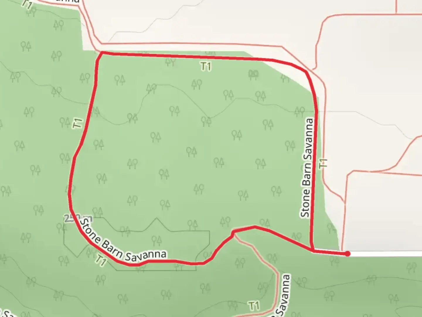 An image depicting the trail Stone Barn Savanna Loop and its surrounding area.