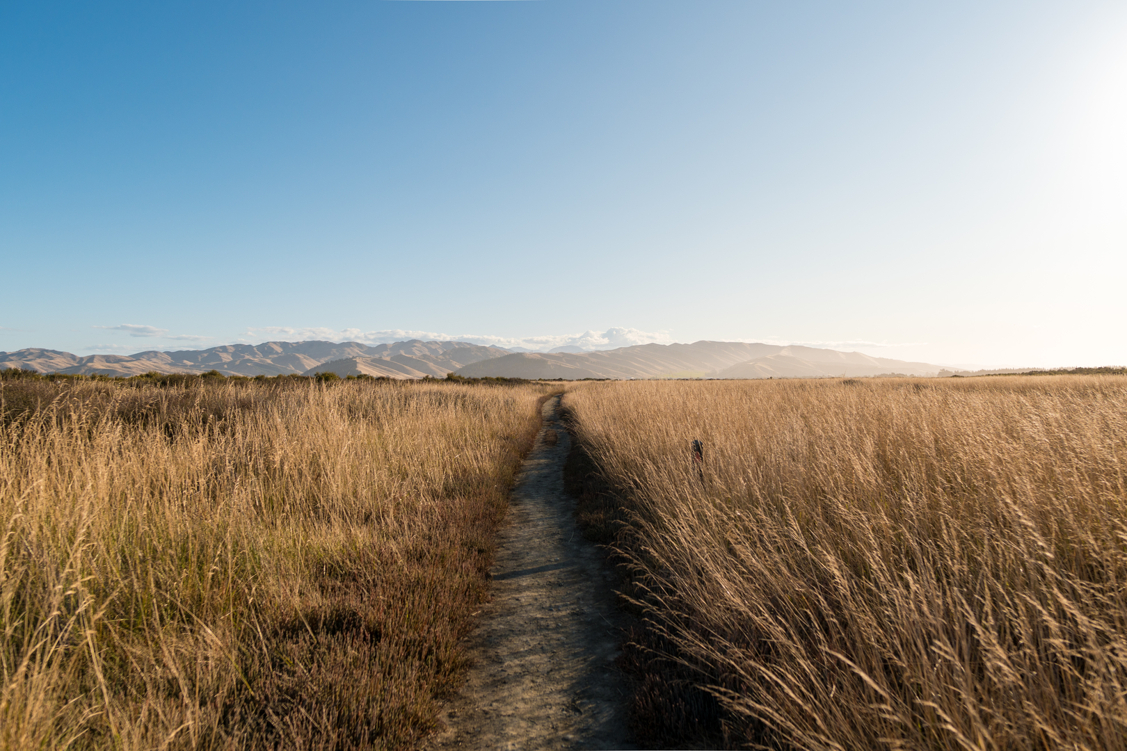 An image depicting the trail Wairau Lagoons Walkway and its surrounding area.