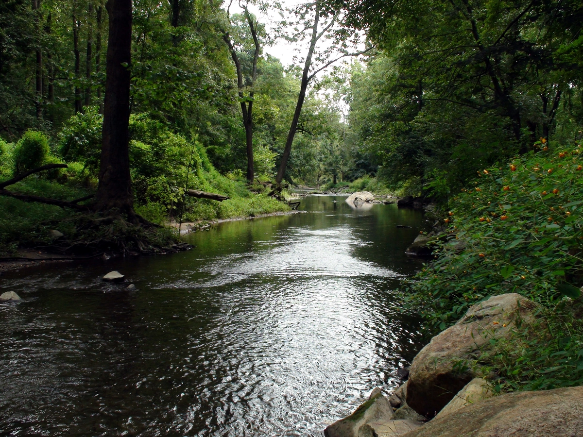Ridley Creek via White Trail