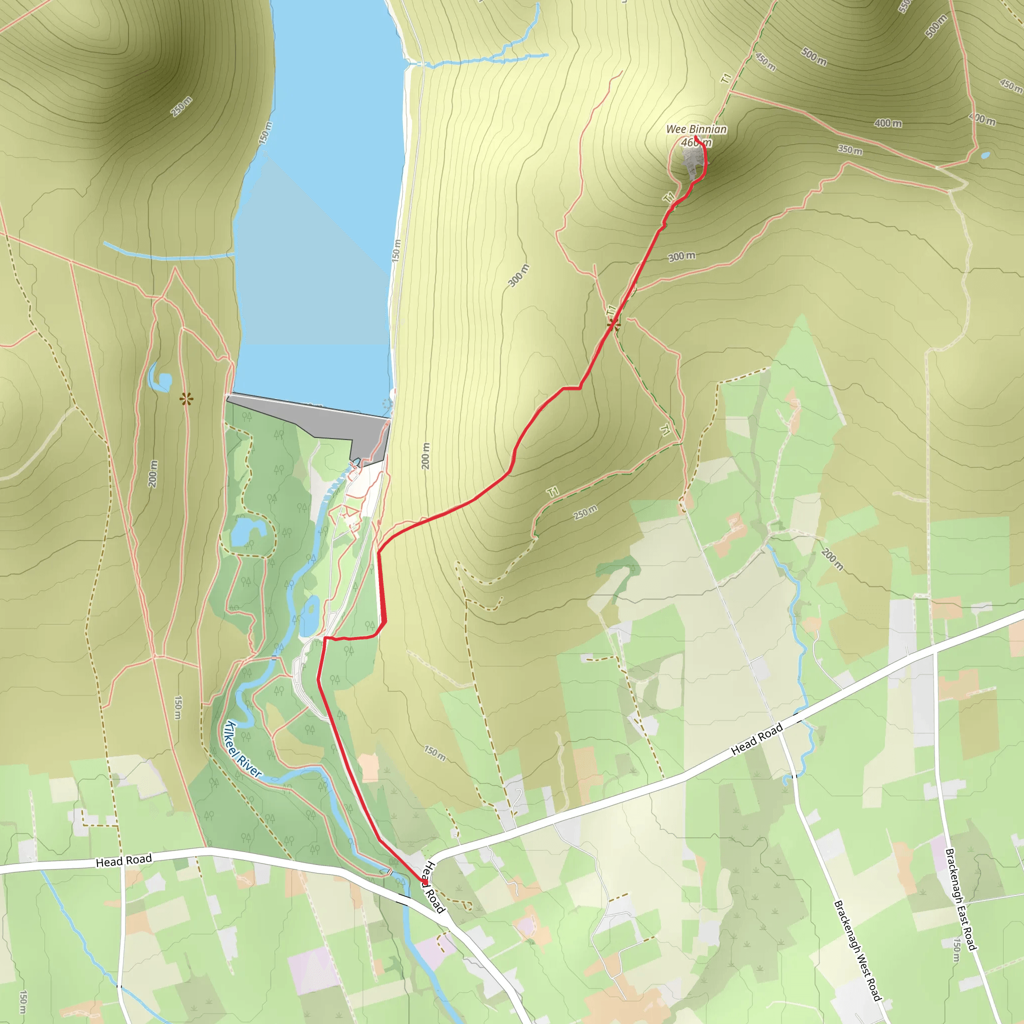 Wee Binnian Mountain Walk mobile static map
