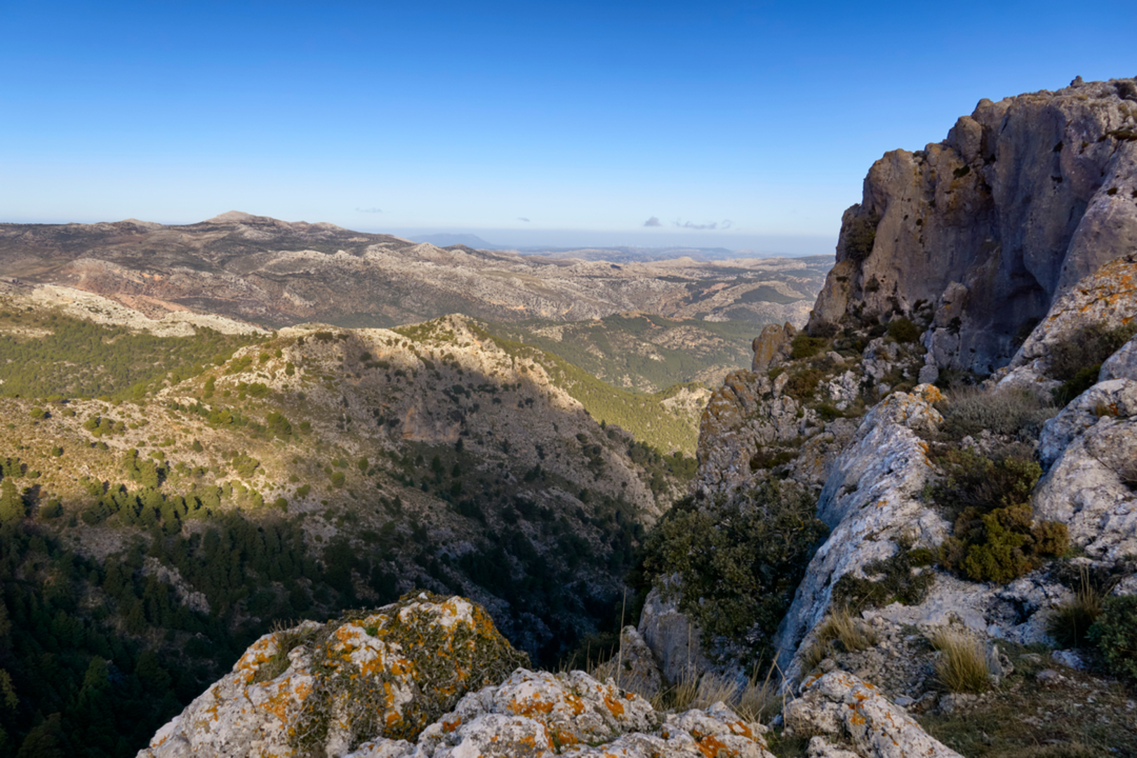 An image depicting the trail Pinsapo del candelabro – Puerto del Saucillo Loop from Yunquera and its surrounding area.