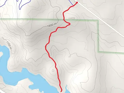 Dinosaur Trackway Trail