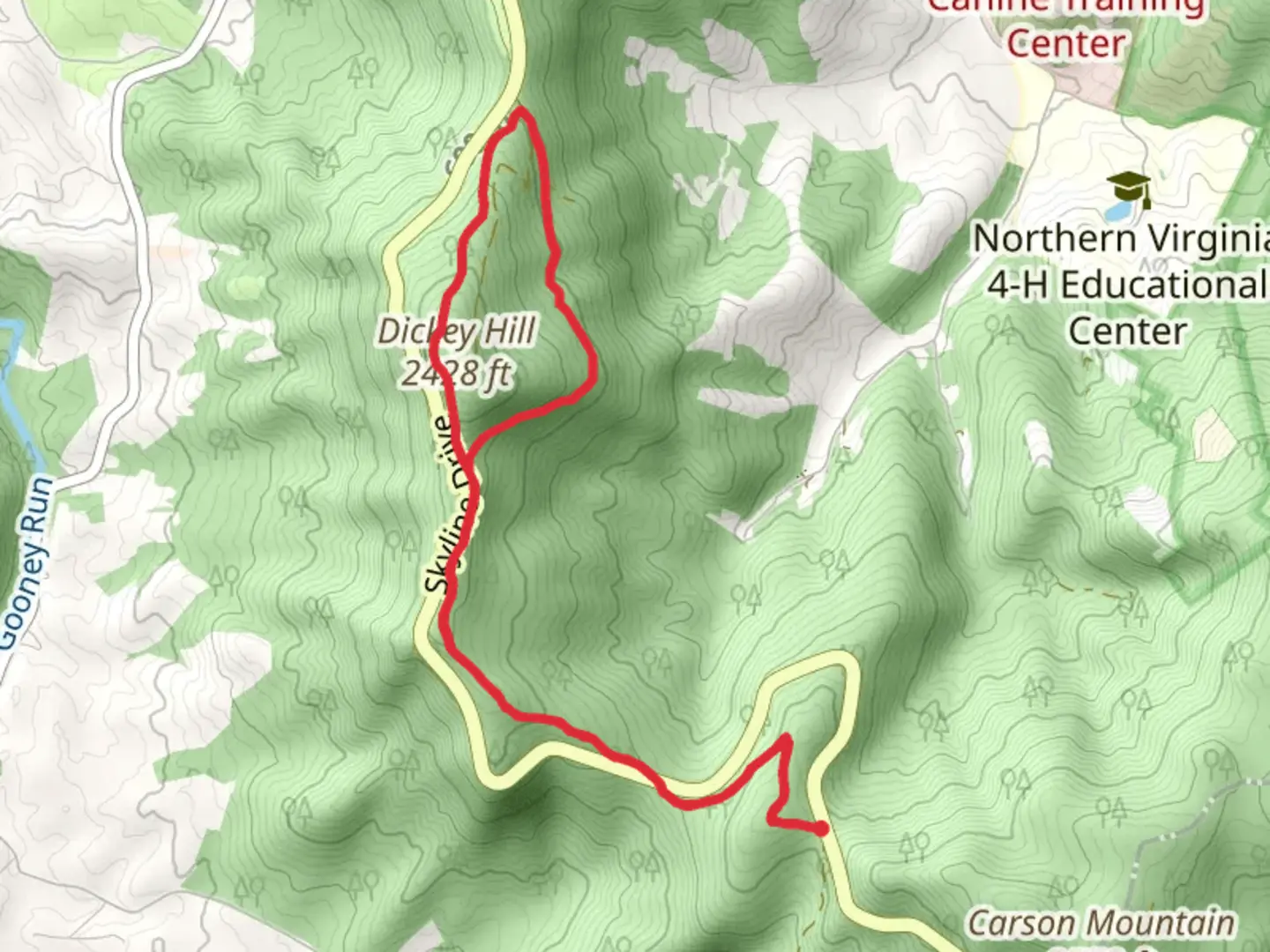 An image depicting the trail Dickey Ridge, Low Gap and Snead Farm Road Loop and its surrounding area.