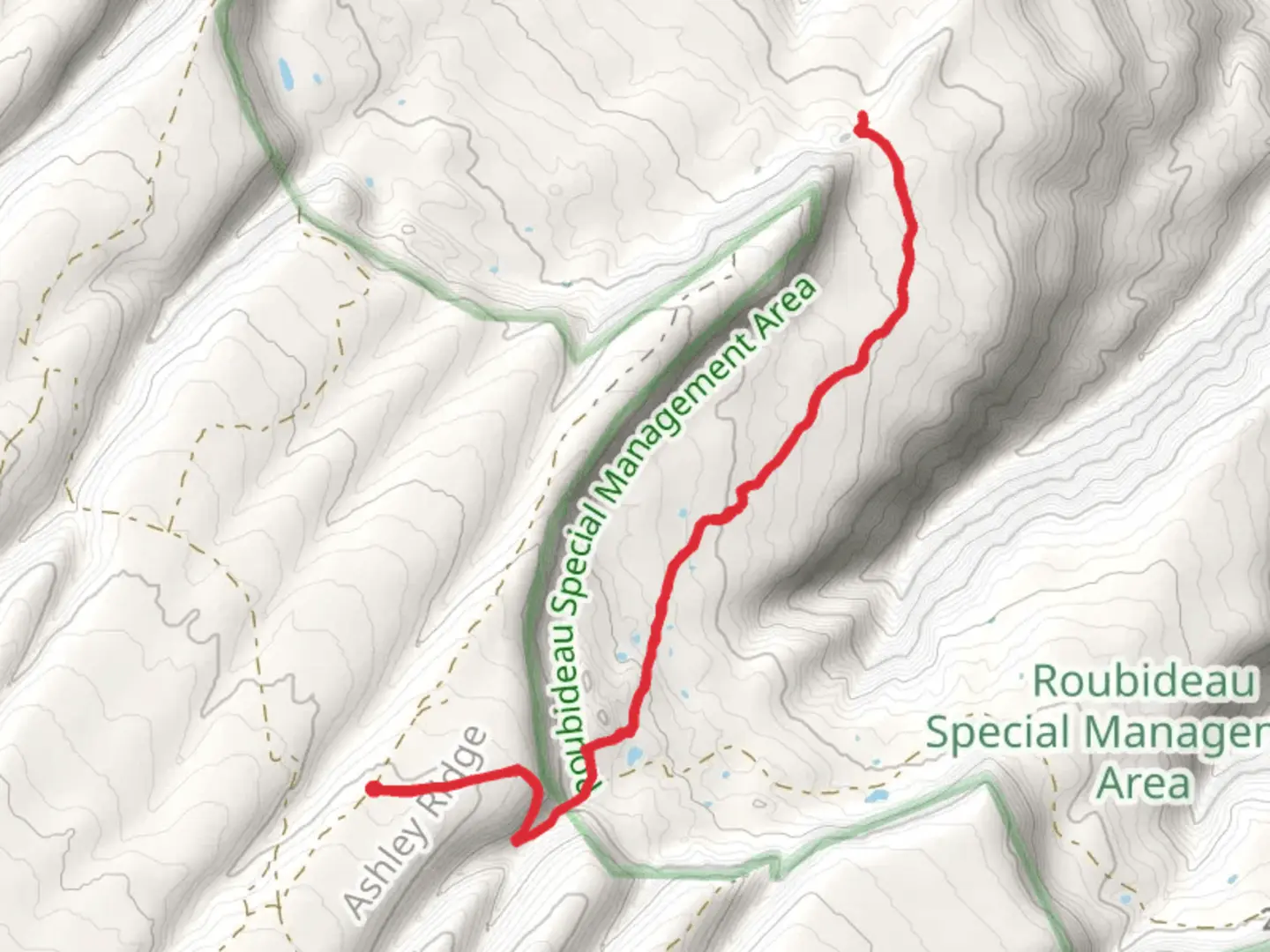 An image depicting the trail East Basin Trail and its surrounding area.