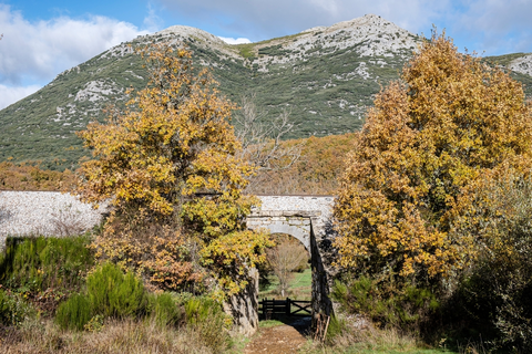 Path of the Tejeda de Tosande PR P 3