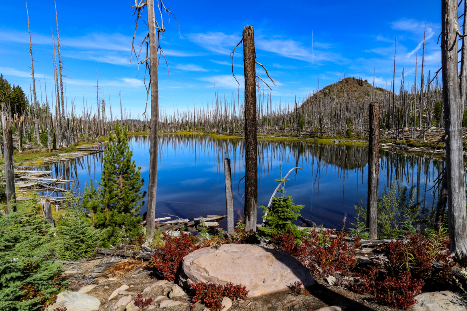 An image depicting the trail Williams Lake and Otter Lake Trail and its surrounding area.