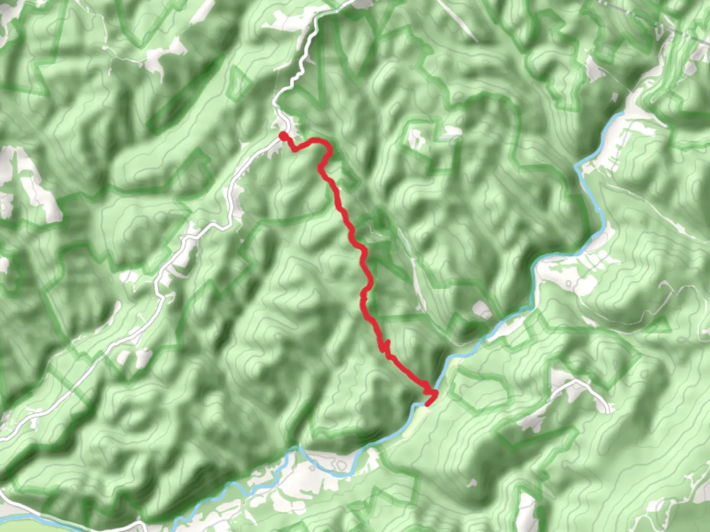 An image depicting the trail Losh Trail via Dorman Ridge Trail and its surrounding area.