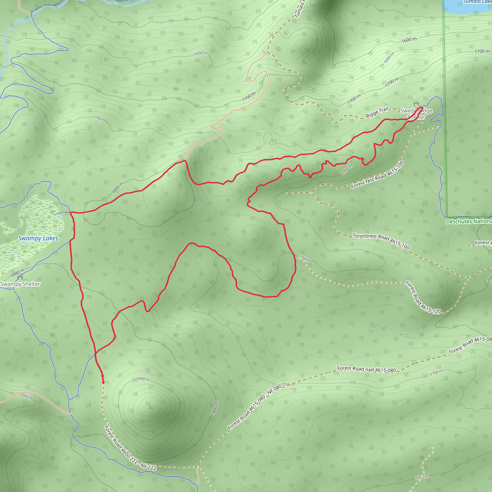 Swede Ridge Loop Trail mobile static map