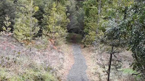 Waitaia Track